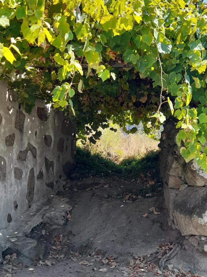 Casa Da Varanda Carreço エクステリア 写真